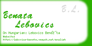 benata lebovics business card